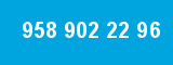 958 902 22 96